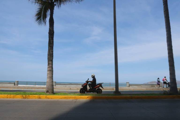 A seis días de la tala de dos palmeras siguen sin reponerse y sin señalética