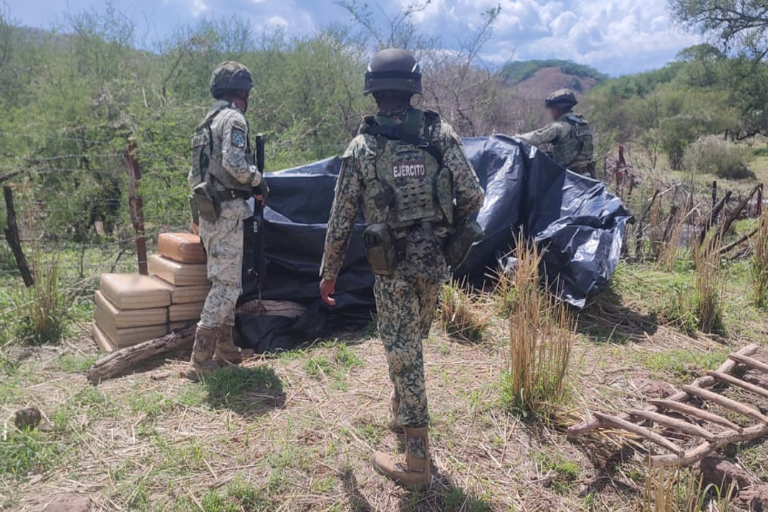 Ejército asegura casi media tonelada de mariguana en zona serrana de Badiraguato