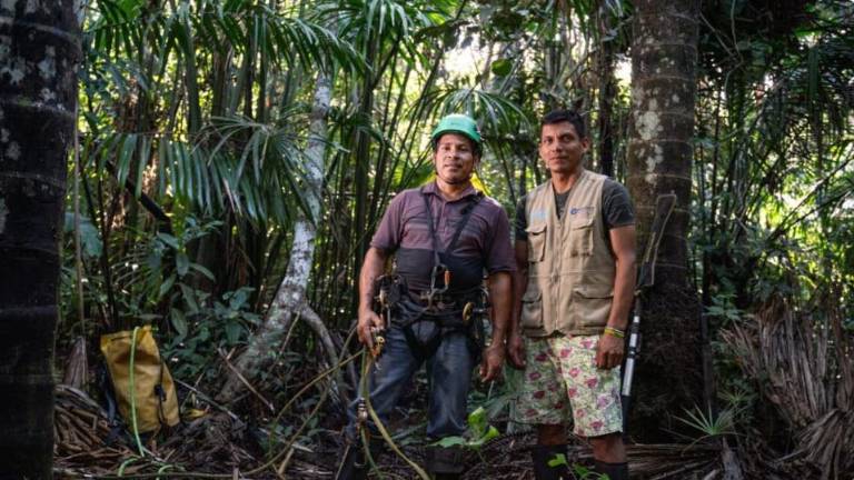 En Perú, Segundo Chanchari y Kietre Gonzales unen fuerzas para el aprovechamiento del aguaje y la conservación de la palmera.