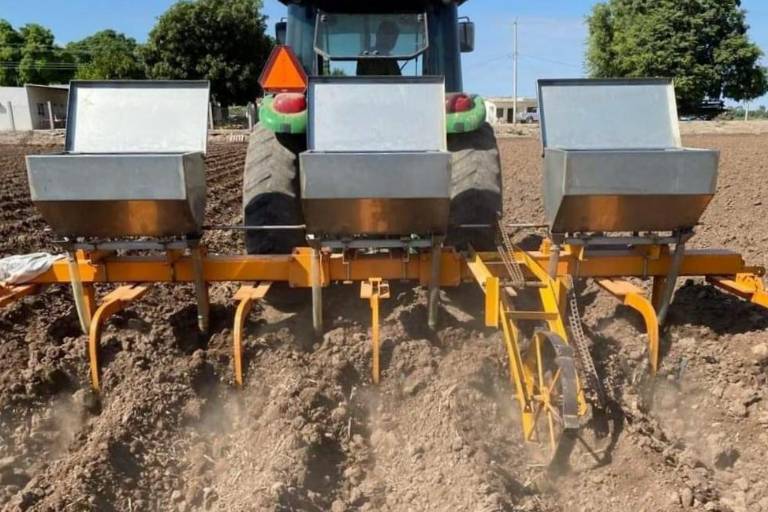 Condiciones actuales empujan a que agricultores abandonen la actividad, advierte Unidad Campesina