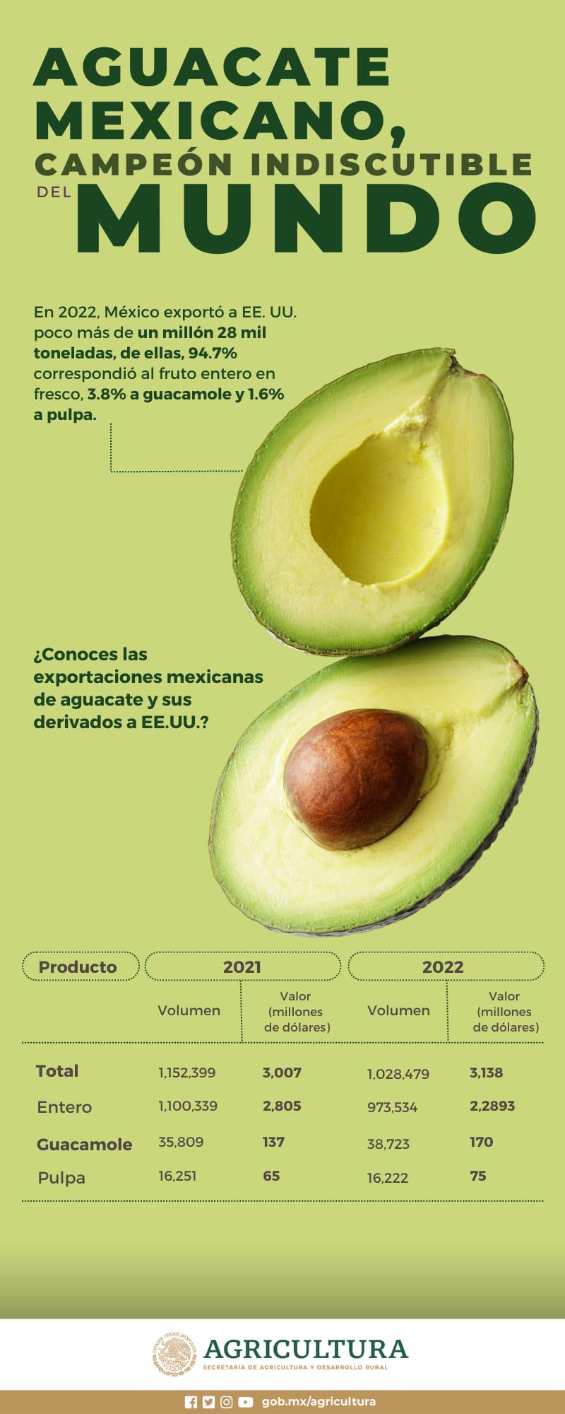 $!Es México líder mundial en producción y exportación de aguacate: Sader