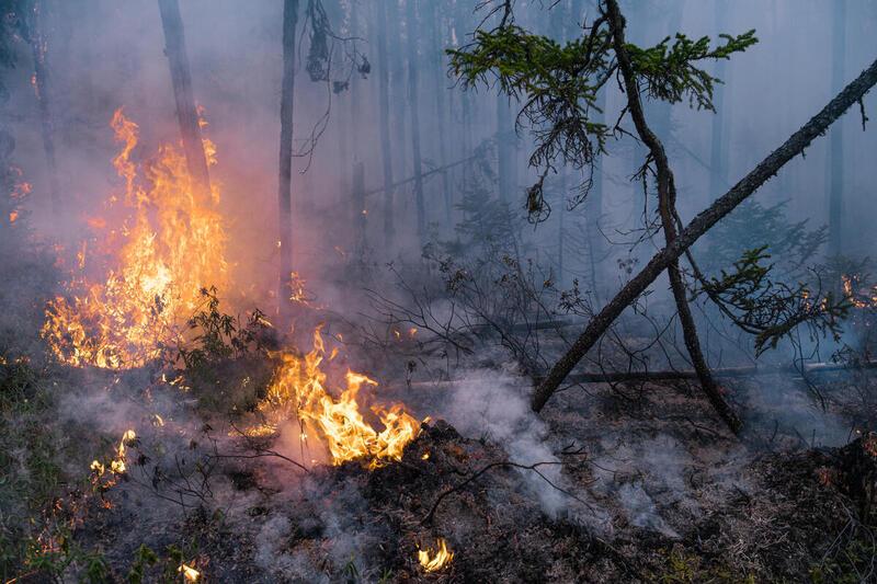 $!América Latina sufre fenómenos extremos a causa de El Niño y el cambio climático