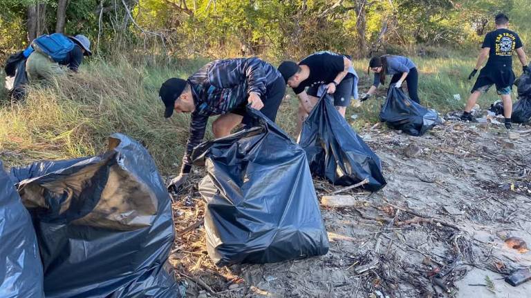 L organización MazConCiencia cumplió seis años de vida cuidando los esteros, manglares, arroyos y demás áreas verdes de Mazatlán.
