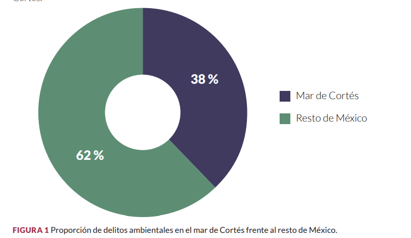 $!Laboratorios clandestinos del crimen organizado afectan al Mar de Cortés