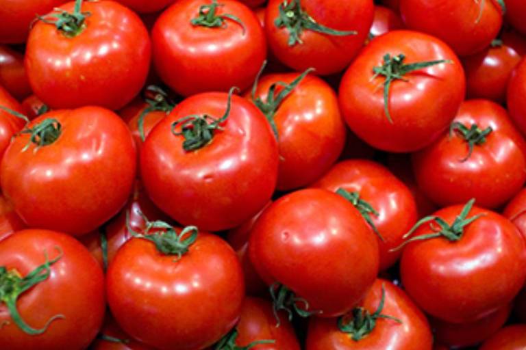 Ebrard y empresarios de EU urgen a gobierno de Trump a reducir arancel a tomates