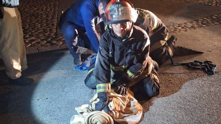 El cocodrilo merodeaba por la calle cerca de un hotel en Cerritos.