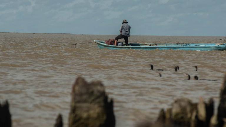 El volumen del derrame de Ek-Balam en 2023, el más grave documentado en los últimos años en México, fue subreportado entre 10 y 200 veces, de acuerdo con cálculos de científicos a partir de capturas satelitales del desastre.