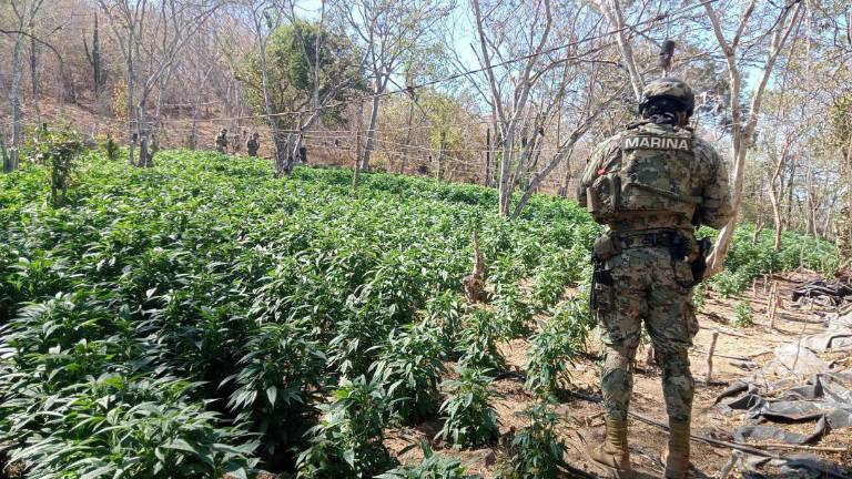La corporación dio a conocer que el hallazgo ocurrió tras una serie de sobrevuelos y recorridos en el poblado de El Limoncito.