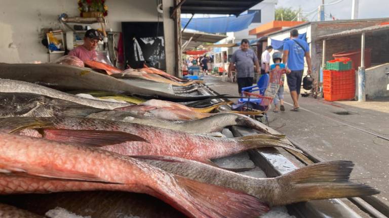 El líder de la Sociedad Cooperativa del Embarcadero mencionó que la cuesta de enero será un trámite difícil para los vendedores de pescado.