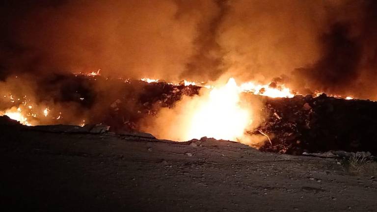 Los grupos de emergencias indicaron que el fuego se originó a las 19:30 horas de este lunes.