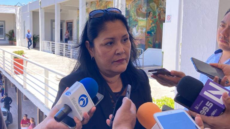 Aida Palafox Villalobos, presidenta del Consejo Municipal Electoral.