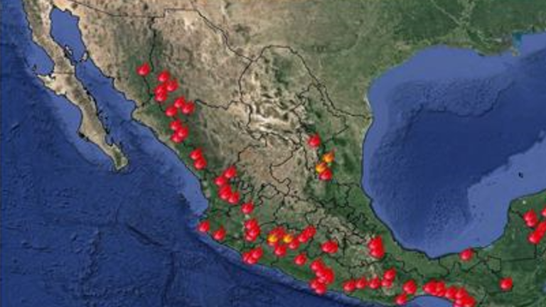 Roy Navarrete Cuevas informó que actualmente hay 5 incendios forestales activos en el estado.