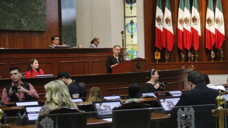 La propuesta plantea la creación de un departamento encargado de registrar y monitorear cada situación de acoso escolar.