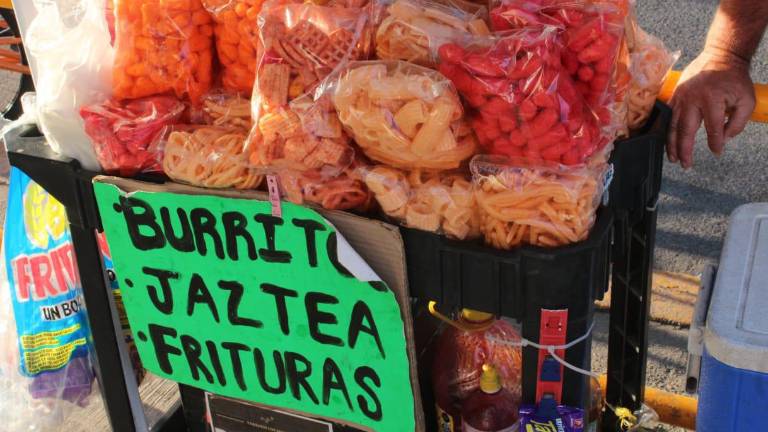 El señor Chema trabaja los fines de semana en el Jardín Botánico.