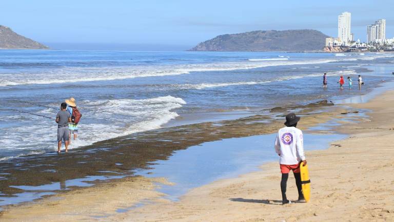 En las playas se colocaron banderines de precaución por la presencia de aguamalas y mantarrayas.