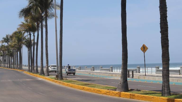Dos palmeras que se encontraban en el camellón central fueron taladas del camellón central frente al parque Ciudades Hermanas, el jueves 24 de abril.