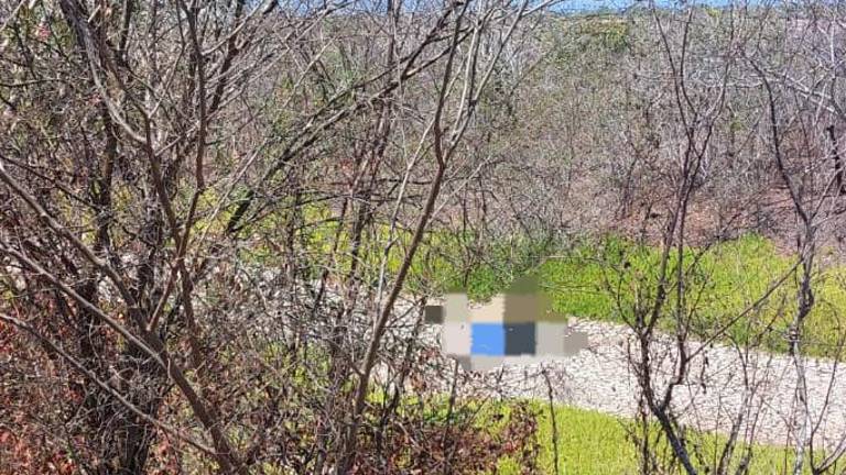 El hallazgo fue reportado por automovilistas que circulaban sobre la carretera hacia la Isla de la Piedra.