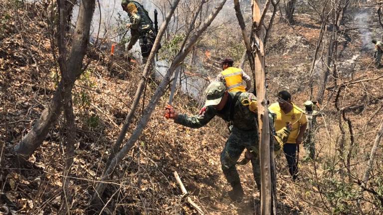Una superficie total preliminar de 9 mil 007 hectáreas afectadas en Sinaloa es lo que reporta la Conafor.