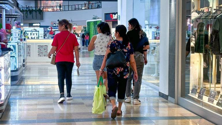 Cerca del 90 por ciento de ventas fueron en línea blanca y electrónica.