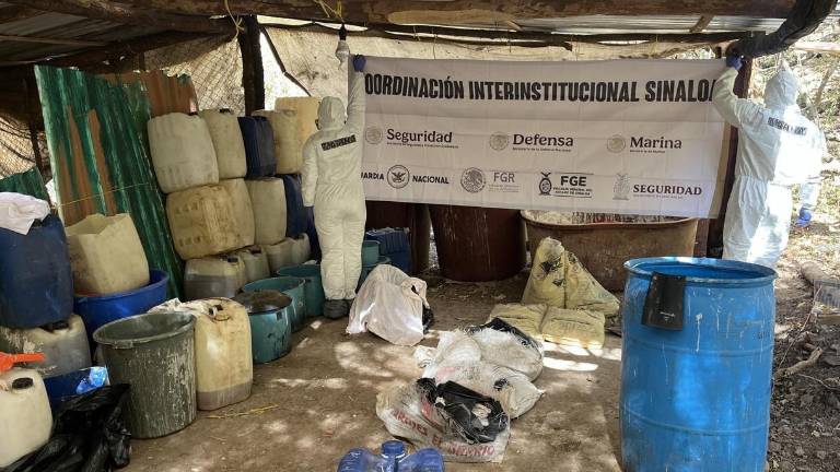 El laboratorio fue localizado cuando las fuerzas federales realizaban recorridos terrestres en el poblado Los Cedros.