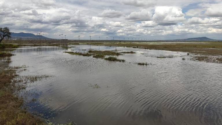 Los intentos por convertir al lago de Texcoco en aeropuerto se dieron en el 2001.
