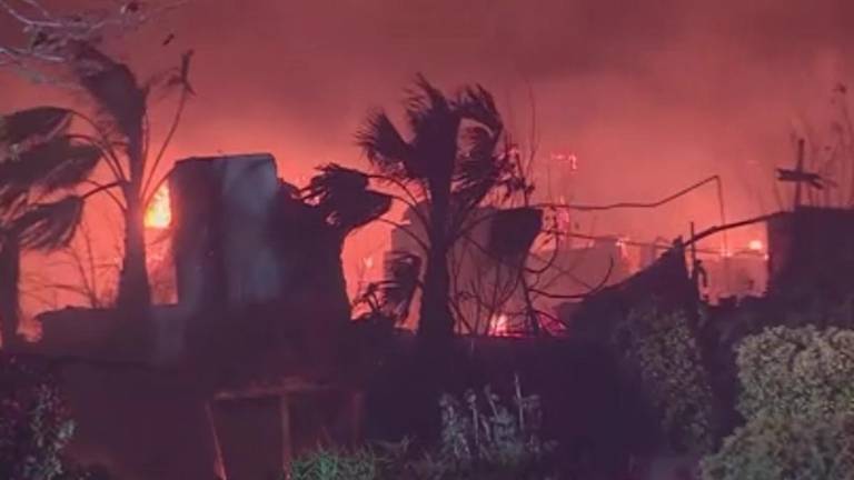 Los incendios forestales han dejado cuantiosos daños en la zona de Los Ángeles.