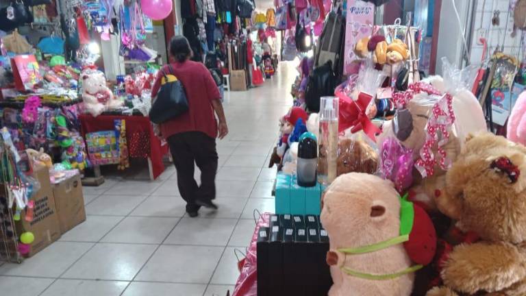 El sector refirió que el descenso en las ventas fue entre el 20 a 40 por ciento, en comparación con 2024.