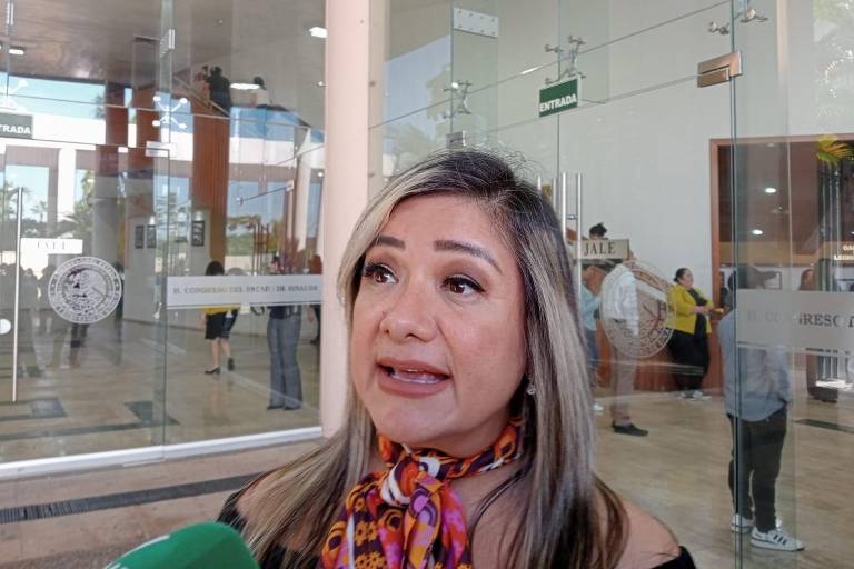 Confía Ceaip en que Gobierno garantice derecho de acceso a la información pese a eliminación de órganos autónomos
