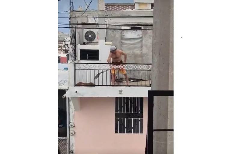Maltrato animal es la antesala a la violencia social, opina Huellitas con Causa por caso en Mazatlán