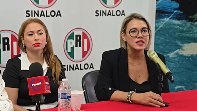 La Regidora Érika Sánchez habló sobre una propuesta para el plan de recuperación en Culiacán.