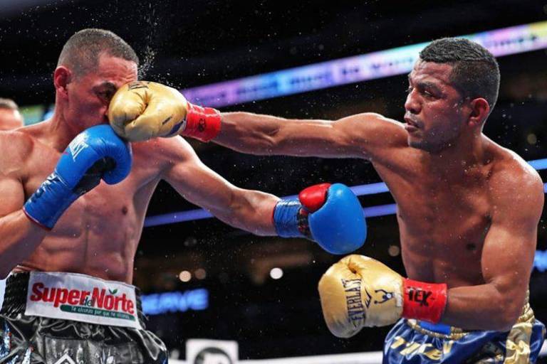 Trilogía Chocolatito vs. Gallo será en diciembre