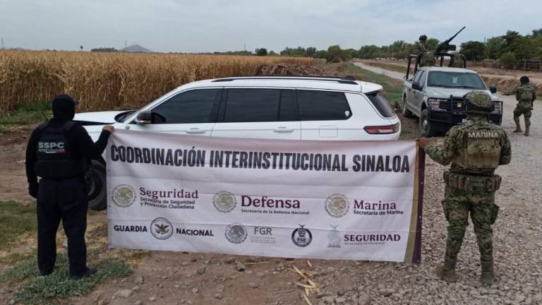 Los automóviles fueron robados en Estados Unidos.