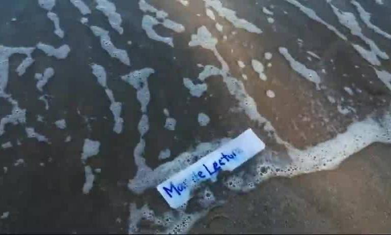 Navegan los lectores por el mar de la imaginación