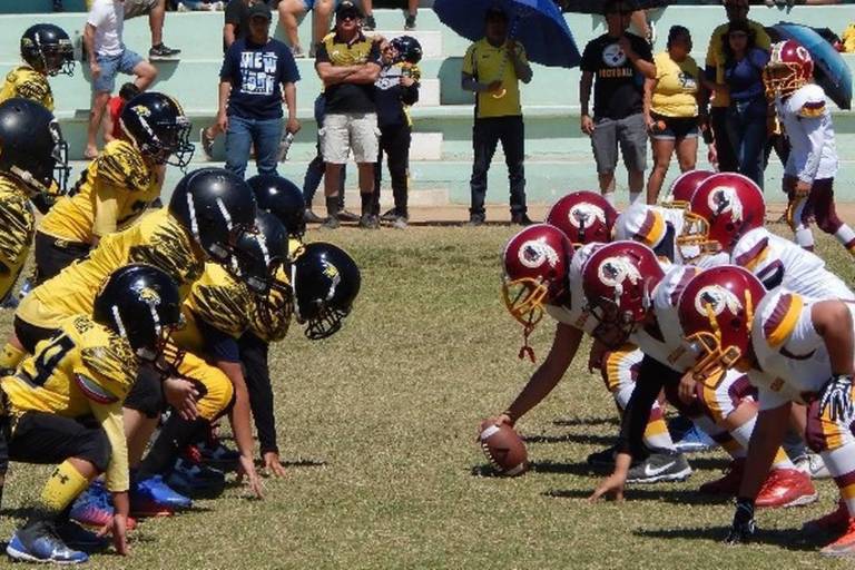 Halcones de Mazatlán deciden parar actividades a causa del repunte del Covid-19