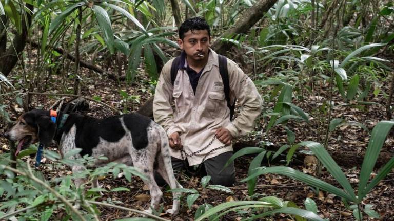 Christian Coyoc Romero, entrenador de perros tigreros, y Franco, perro de la jauría especializada.