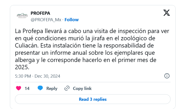 Profepa investigará muerte de la jirafa en el Zoológico de Culiacán