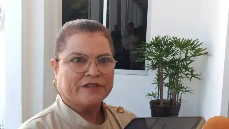 Bojórquez Mascareño informó que este problema se presenta por la misma marginación que tienen y a las mujeres les atraviesan todas las violencias.