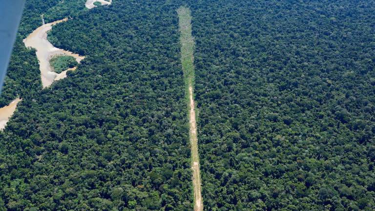 Pista de aterrizaje clandestina en el sector norte de la Reserva Indígena Kakataibo.