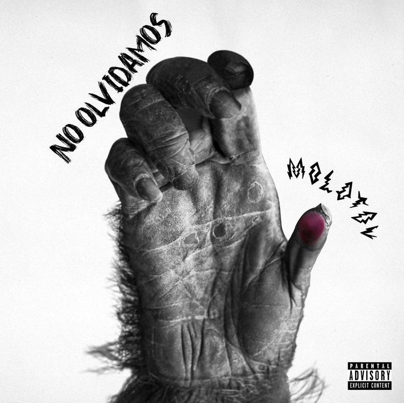$!Molotov lanza mensajes a presidentes y ex presidentes en su nueva canción 'No olvidamos'