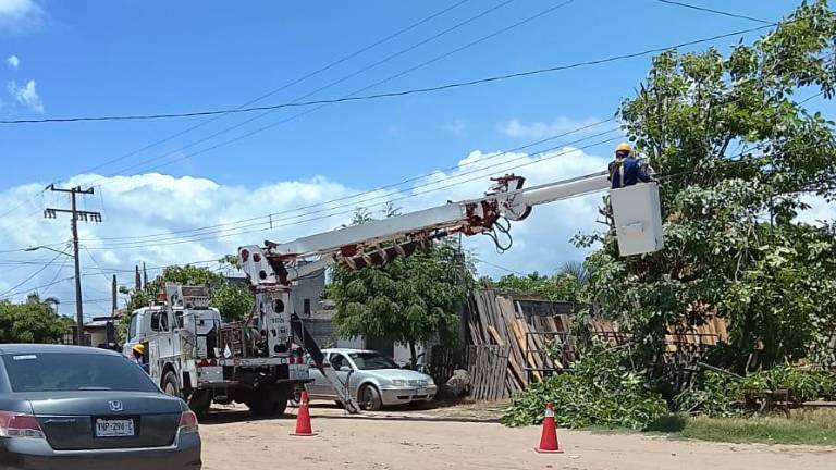 Personal de la CFE acude a la comunidad de Isla del Bosque a resolver las fallas en la electricidad.