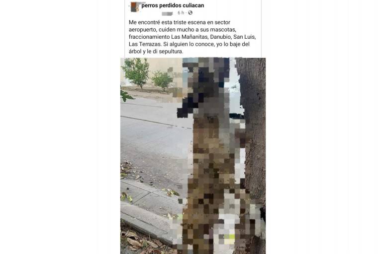 Reportan en redes a un perro colgado en calles de Culiacán