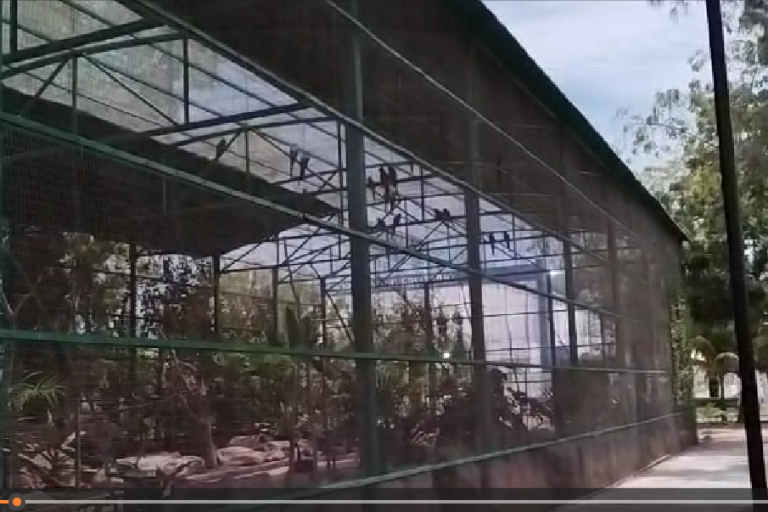 Aves del Acuario de Mazatlán se resguardan durante Eclipse Total de Sol (VIDEOS)