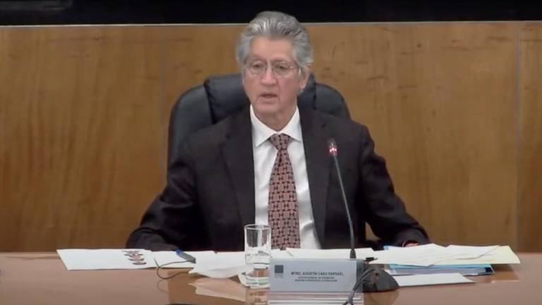 Francisco Javier Rebolledo Peña concedió una suspensión provisional en el amparo promovido por Agustín Caso Raphae, quien fue sustituido por David Rogelio Colmenares Páramo.