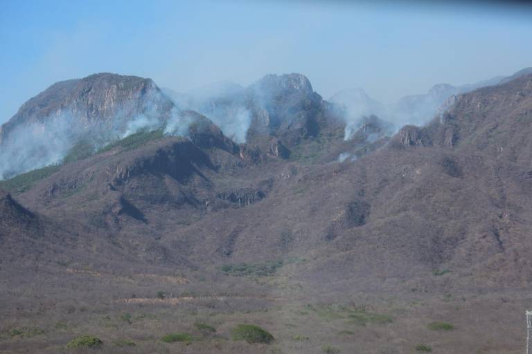 Más de 130 personas combaten incendio forestal en la sierra de Elota