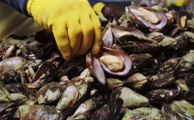 Declaran veda en la bahía de Altata Norte por marea roja