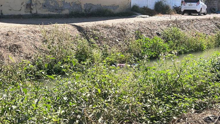 El cuerpo estaba envuelto en bolsas, tenía huellas de violencia y se encontró flotando sobre el canal de agua.