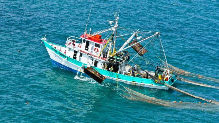 La consultora Humint sugiere que antes de hablar de sustentabilidad habrá que atender la pesca ilegal.