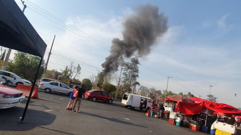 El helicóptero se desplomó en la alcaldía Coyoacán.