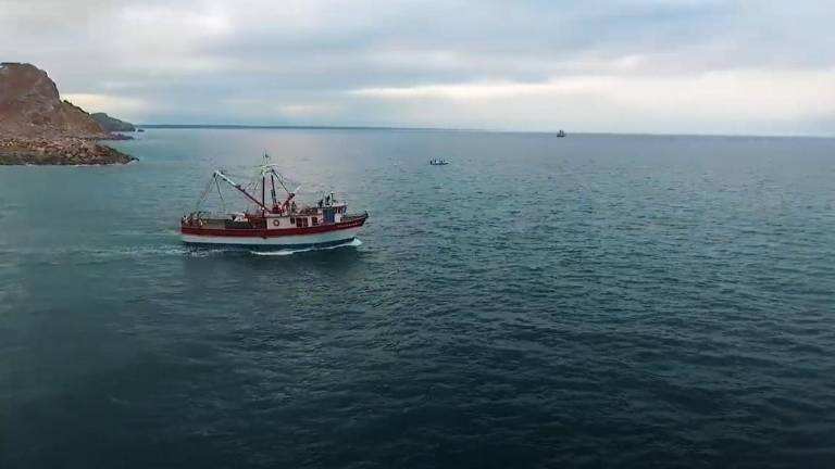 La medida será aplicada en las aguas marinas del Océano Pacífico, que incluye el Golfo de California y los sistemas lagunarios estuarinos, marismas y bahías ubicados en Baja California Sur, Nayarit, Sinaloa y Sonora.
