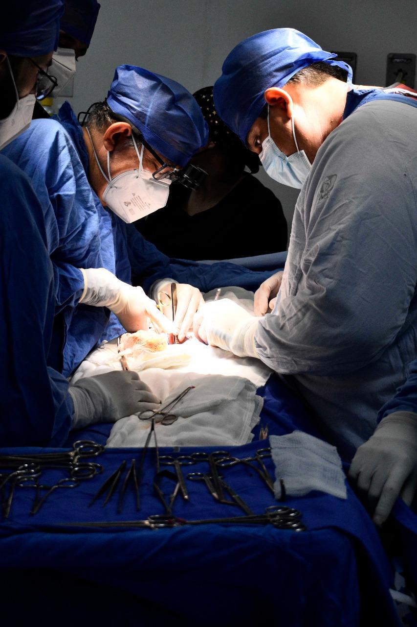 $!Foto: Cortesía IMSS